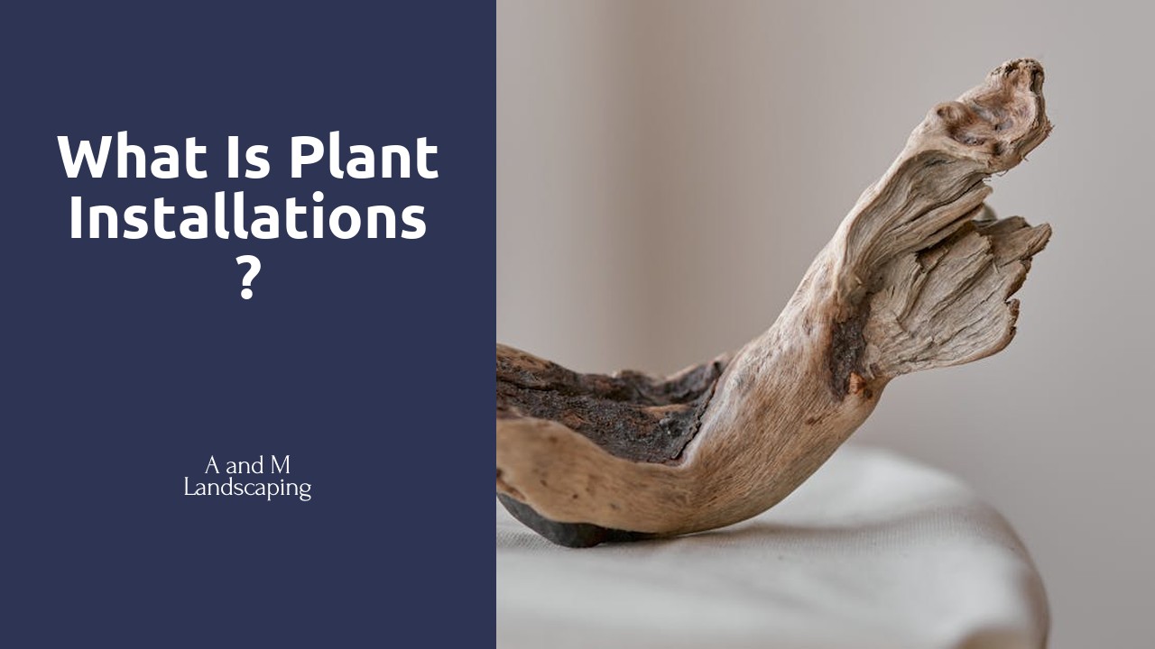 What is plant installations?